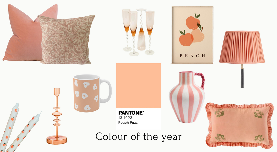 Style Guide: Peach Fuzz Interiors 2024