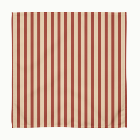 Stripe Cloth napkin set, Set of 4